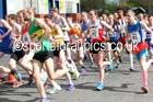 2015 Wallsend Terry O'Gara Memorial 5k Road Race